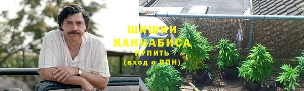 стаф Богданович