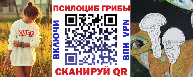маркетплейс наркотические препараты Елец Галлюциногенные грибы GOLDEN TEACHER
