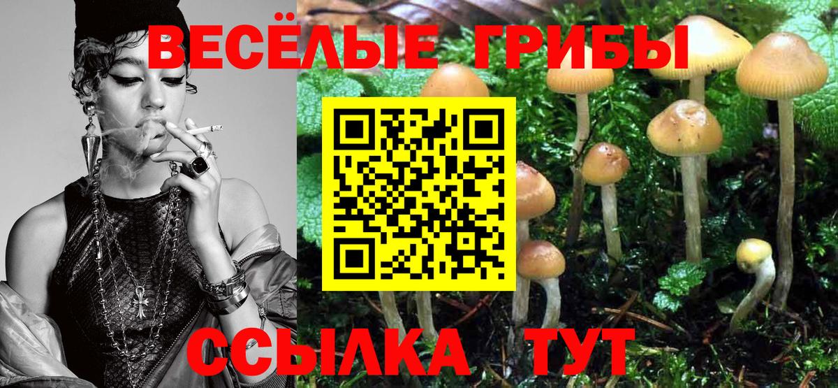 Елец  Галлюциногенные грибы Cubensis  Вход с VPN  купить  цена  Галлюциногенные грибы MAGIC MUSHROOMS 