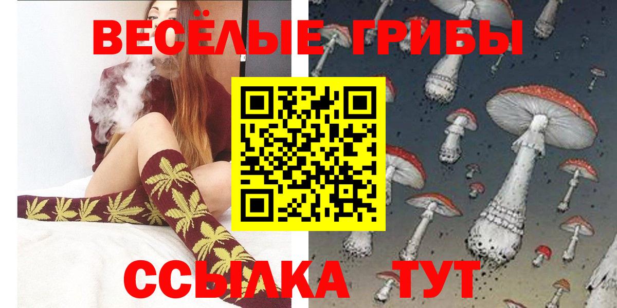 Галлюциногенные грибы GOLDEN TEACHER  Елец 